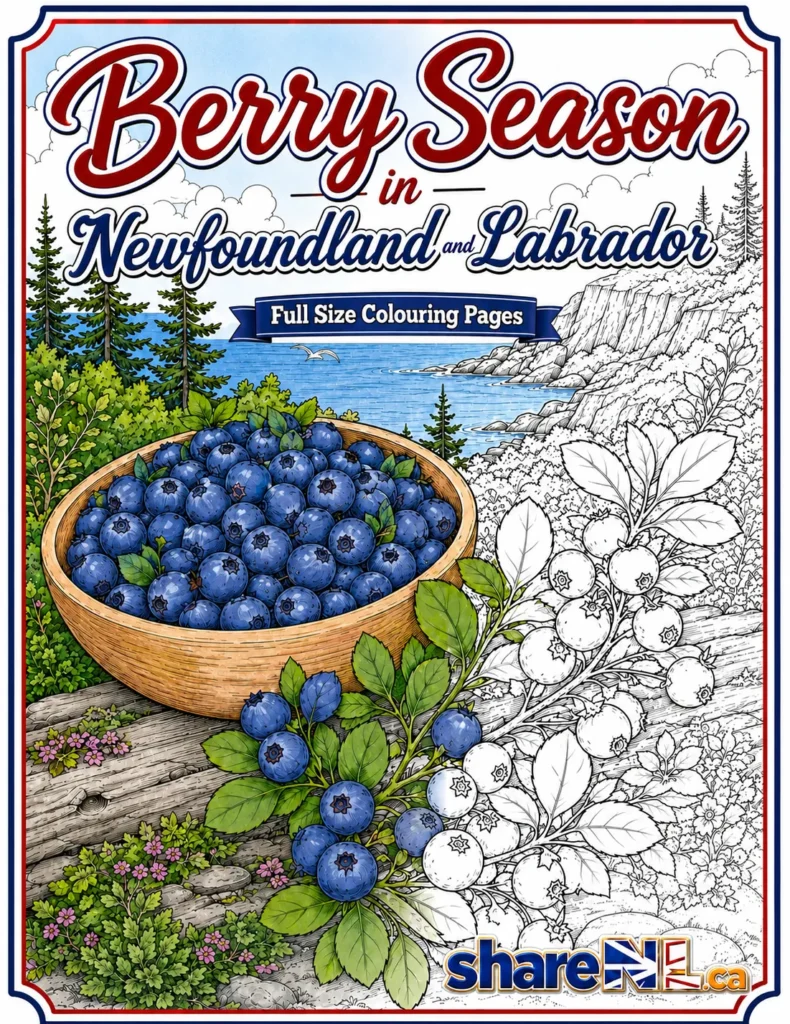 Berry Season In Newfoundland and Labrador