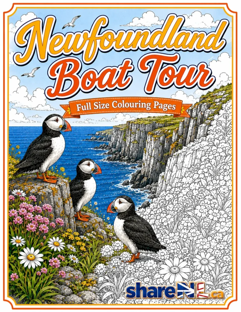 Free Newfoundland Boat Tour Colouring Book