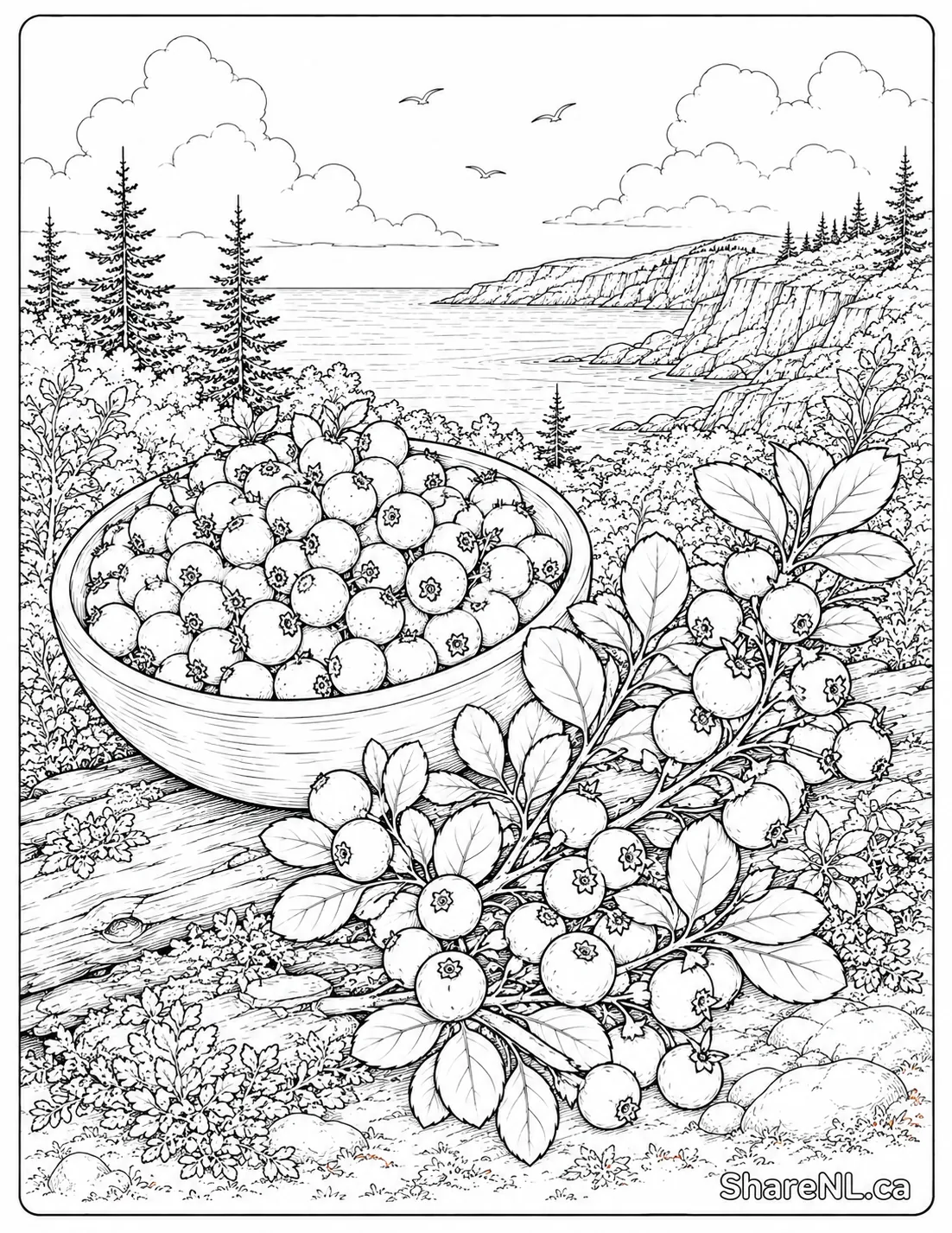 Free printable Partridgeberries colouring page