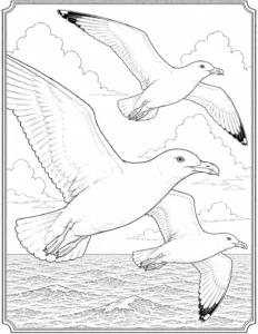 Seagulls