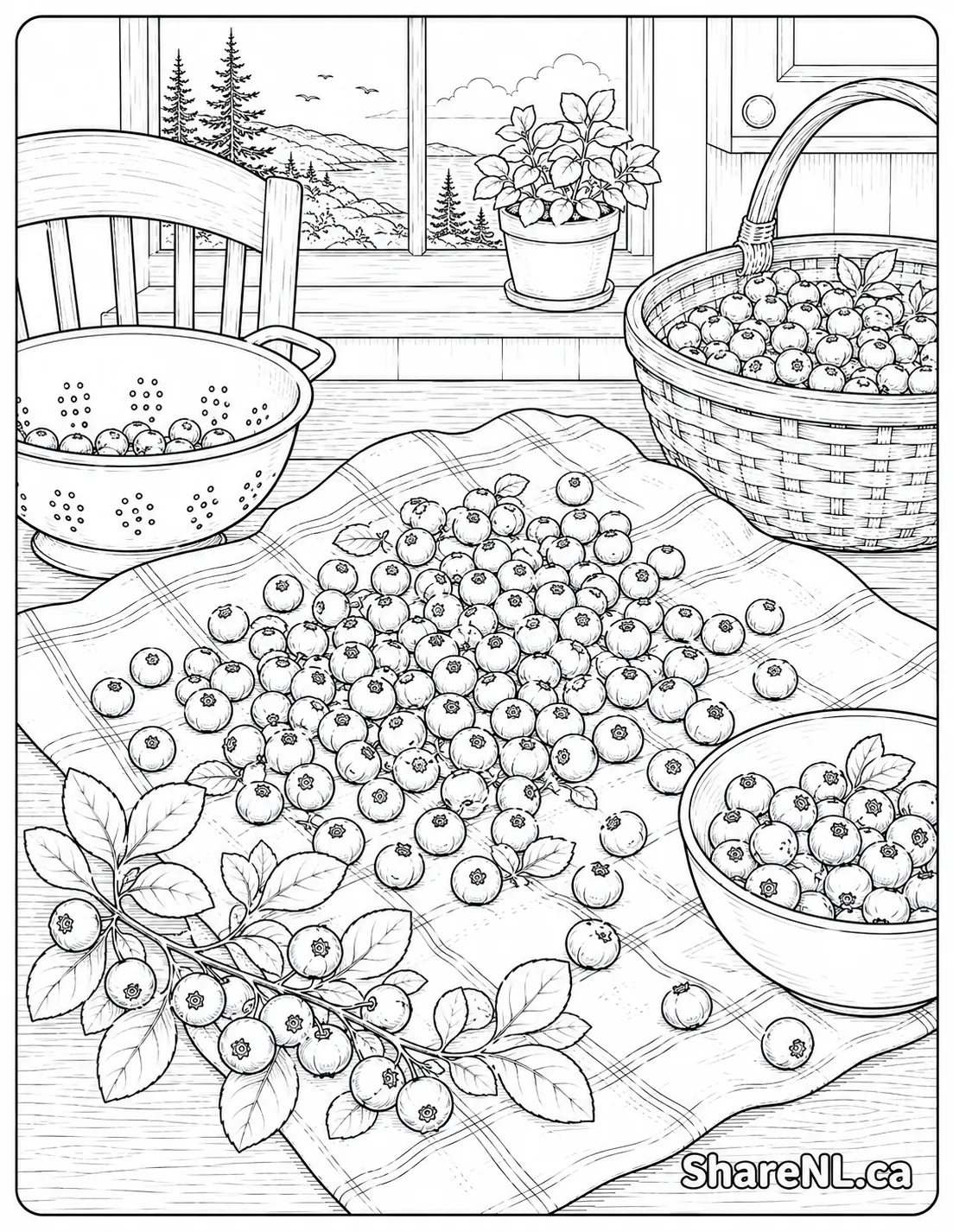 Sorting berries